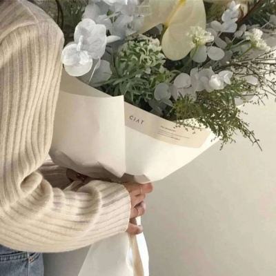 万象物语小米服下载